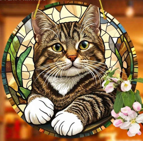 Cat love tabby - cat,