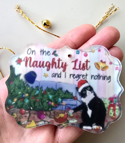 Acrylic pendant naughty - acrylic,