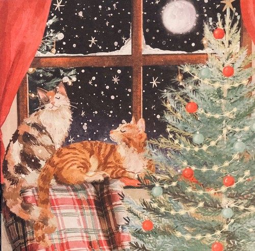 Charity christmas card cosy - christmas,