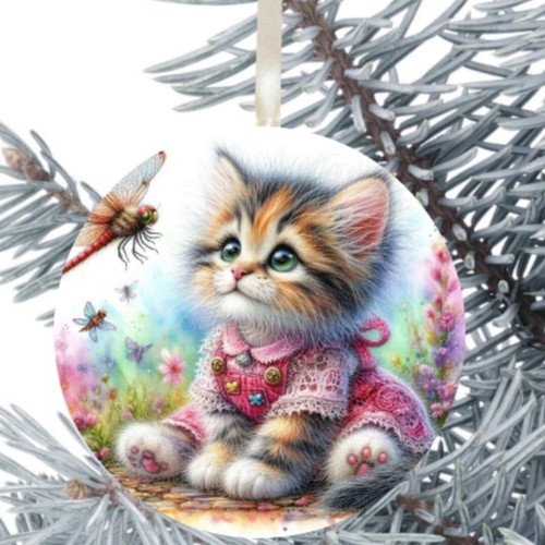 Cat kitten hanging - kitten, gift