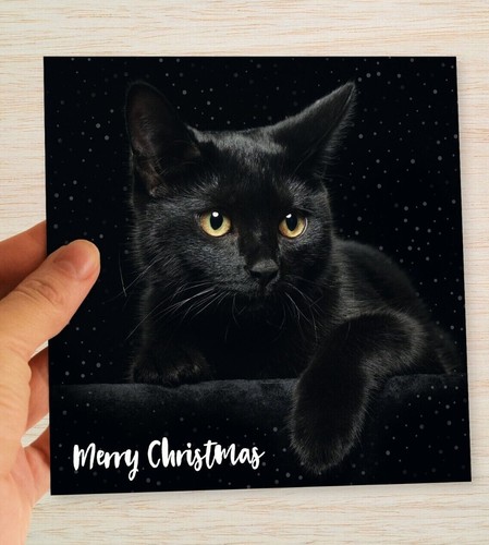 Black cat christmas cards - cat, &