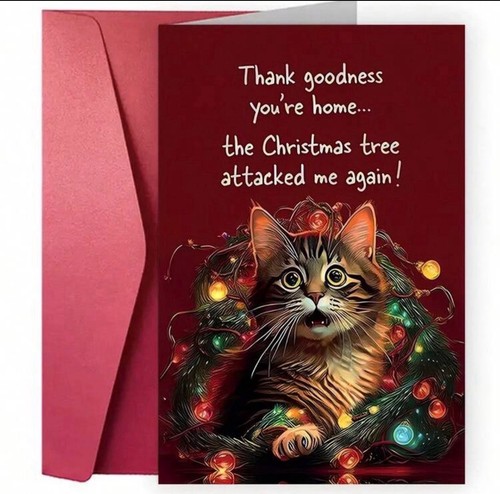 Funny christmas cat - funny,