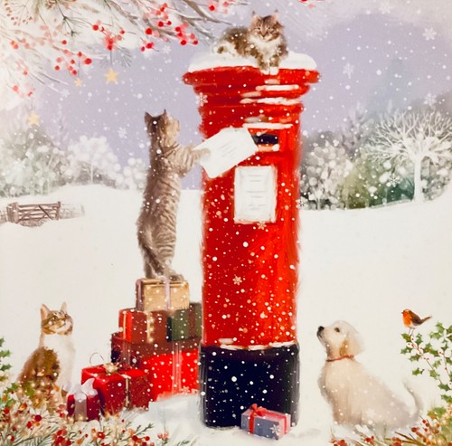 Charity christmas card cats - christmas,