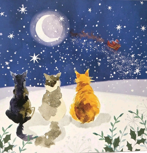 Christmas cards cats - cards,