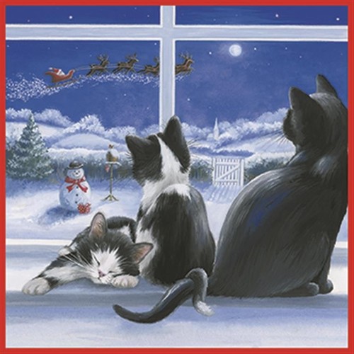 17276 cats christmas eve - 'cats,