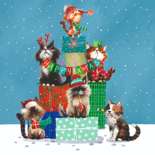 Cats and presents christmas - cats,