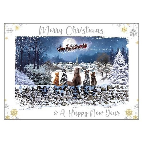 Cat themed christmas card - themed,