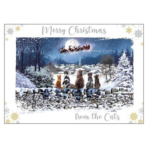 Cat themed christmas - themed, card