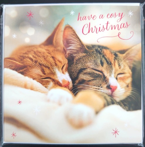 Christmas cards cats - christmas,