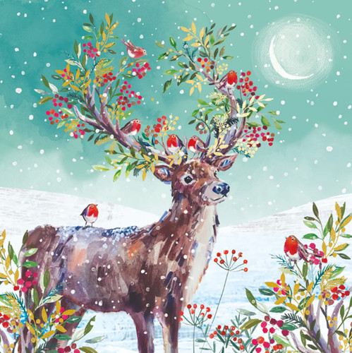 Christmas cards cats - christmas,