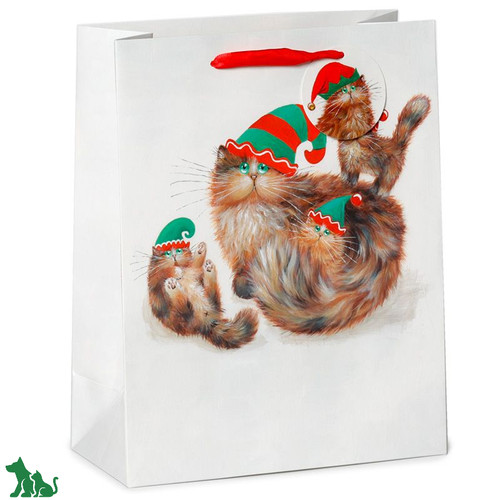 Kim haskins cats - 6,