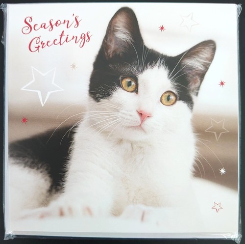 Christmas cards cats - christmas,
