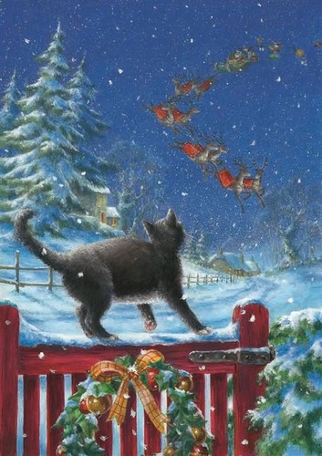 14124 cats christmas pack - christmas',