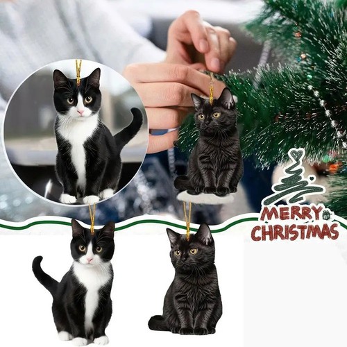 Cute christmas cat ornaments - cute,