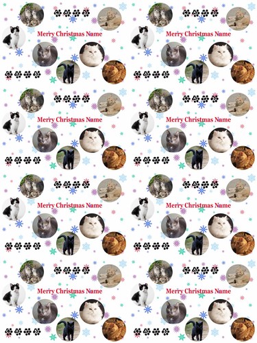 Cats personalised christmas - cats,
