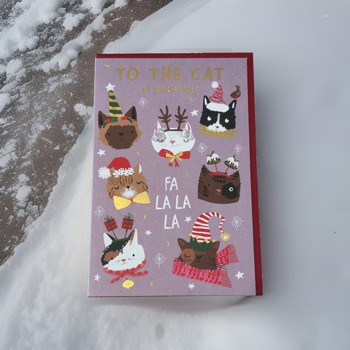 The cat christmas - the,