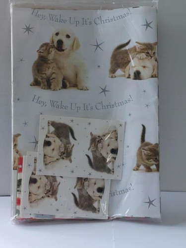 Cats protection charity - cats,