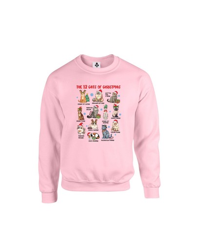 Cats christmas fun - 12,