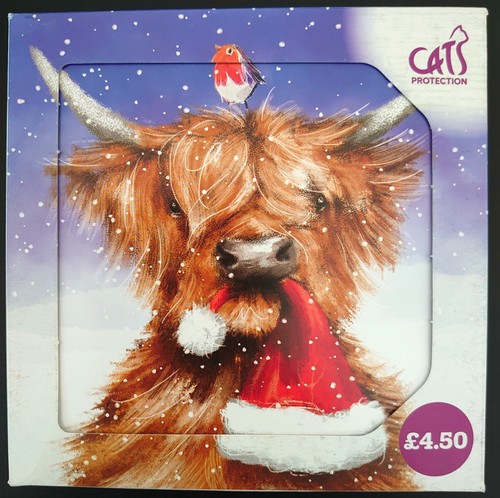Christmas cards cats - christmas,