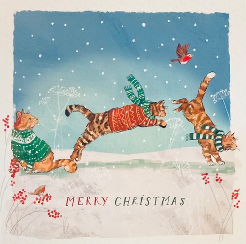 Charity christmas card quick - card,