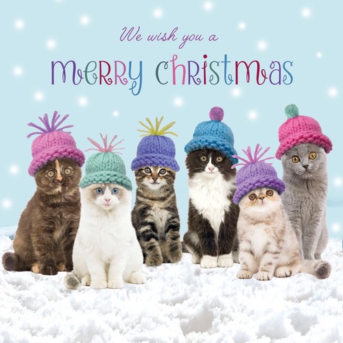Festive cats wearing woolly - wearing,