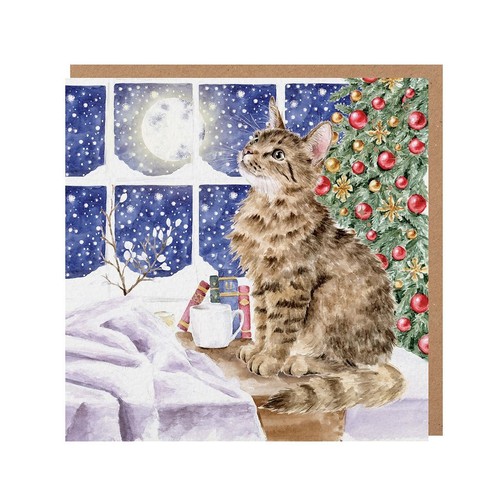 Tabby cat christmas card - card,