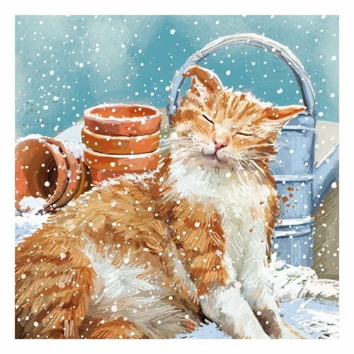 Christmas cards cats - cards,